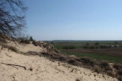 Ausblick von der Düne